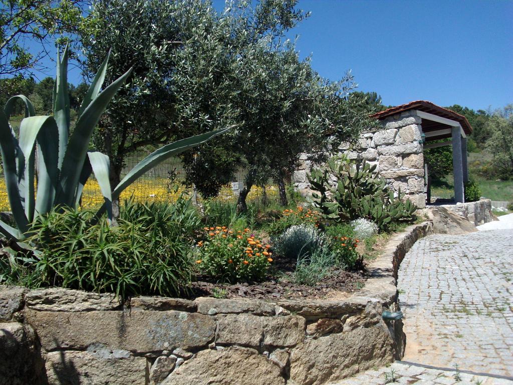Quinta Do Mineiro-Serra Da Estrela Matanca Номер фото